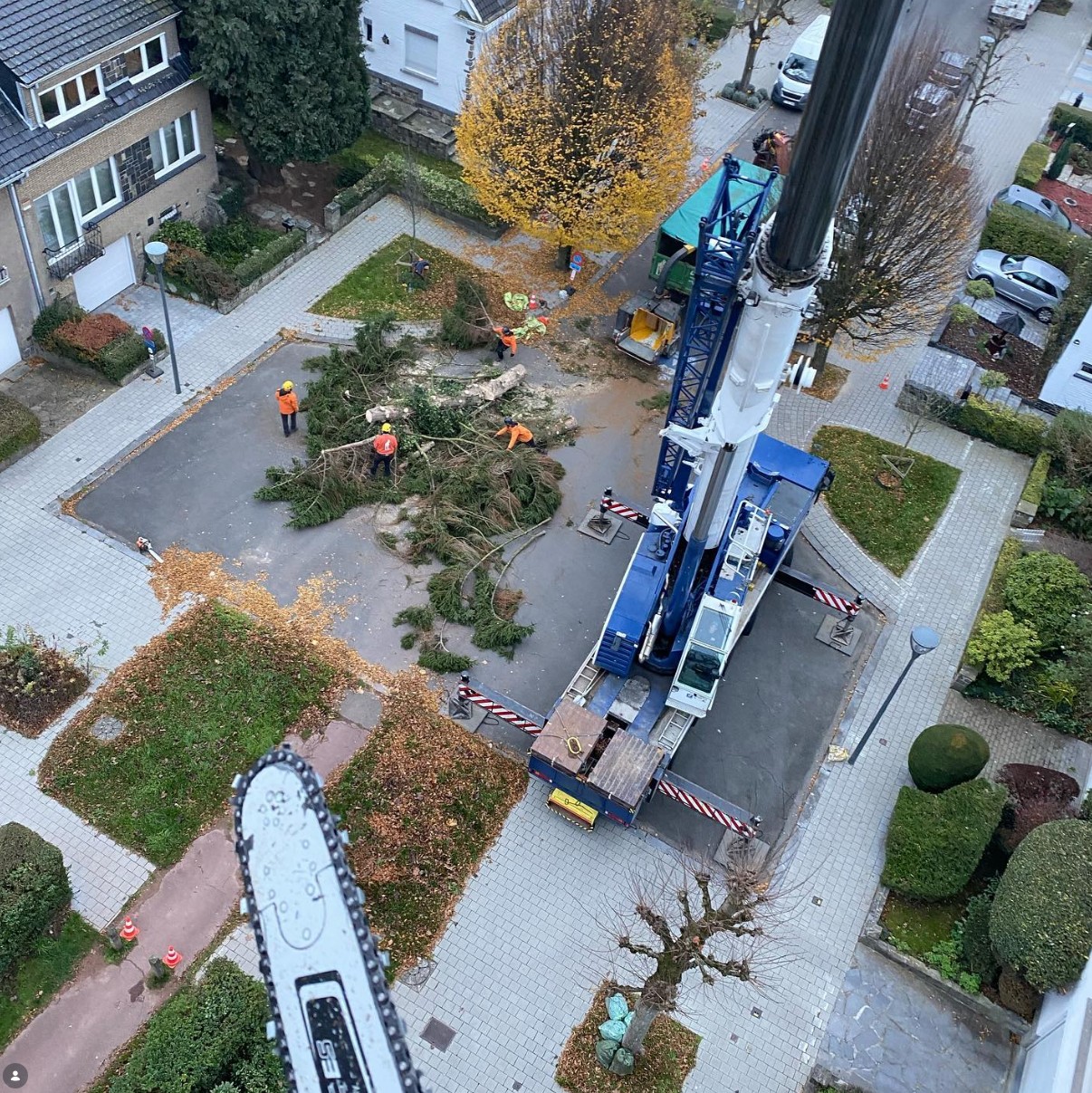 Screenshot 2026-02-12 234220