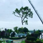 Screenshot 2026-02-12 234243