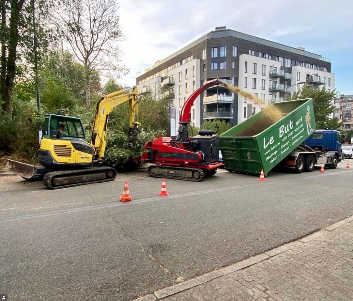 Screenshot 2026-02-12 234304