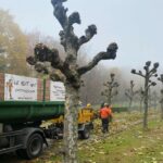 Screenshot 2026-02-12 234320