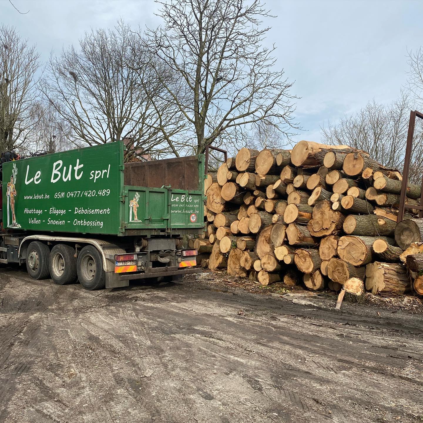 486113188_1221027980025082_6514183998880430801_n