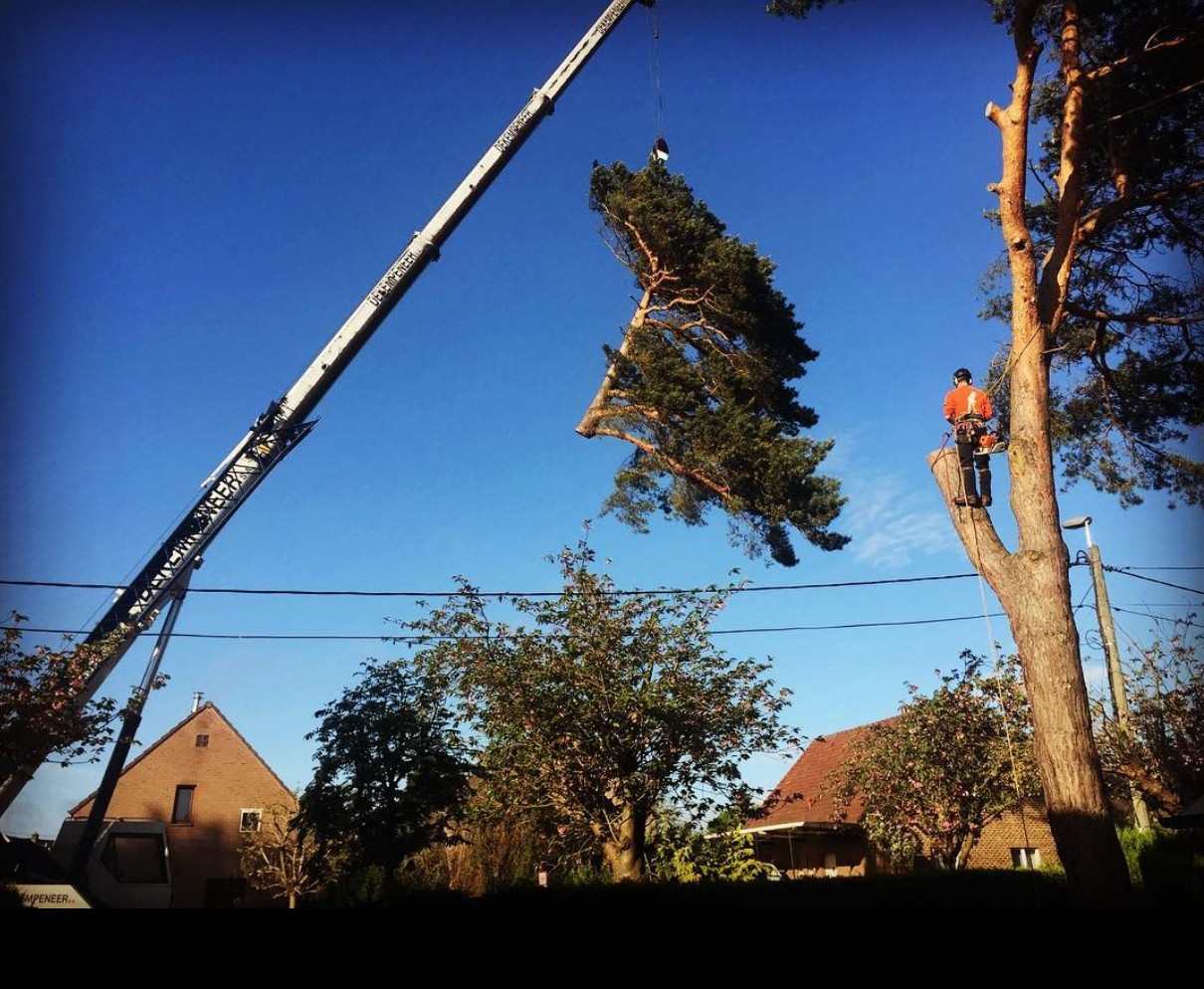 Screenshot 2026-02-13 010058