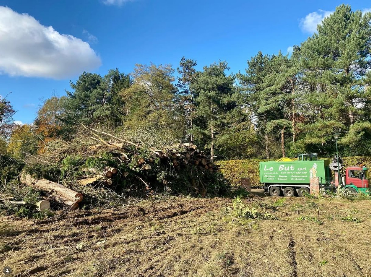 Screenshot 2026-02-13 010731