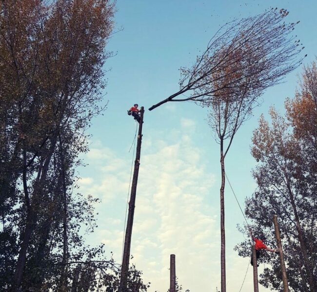 Screenshot 2026-02-13 011240