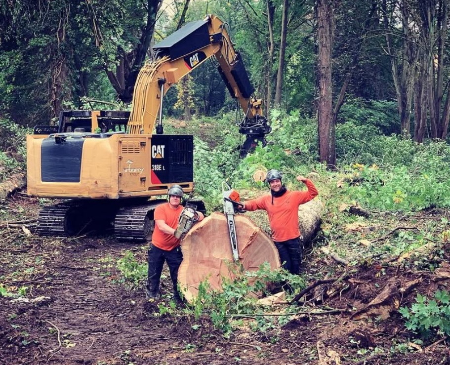 Screenshot 2026-02-13 011652