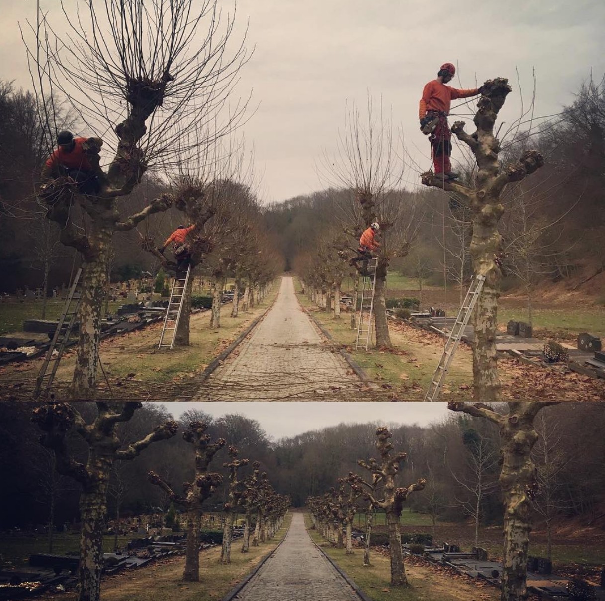 Screenshot 2026-02-13 012214