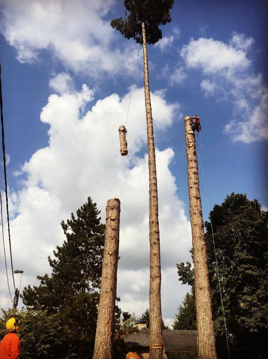 Screenshot 2026-02-13 012232