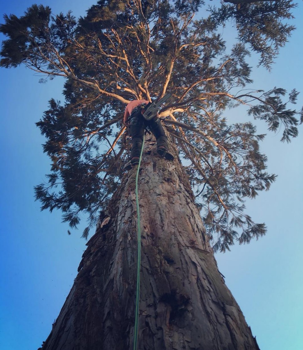 Screenshot 2026-02-13 012317